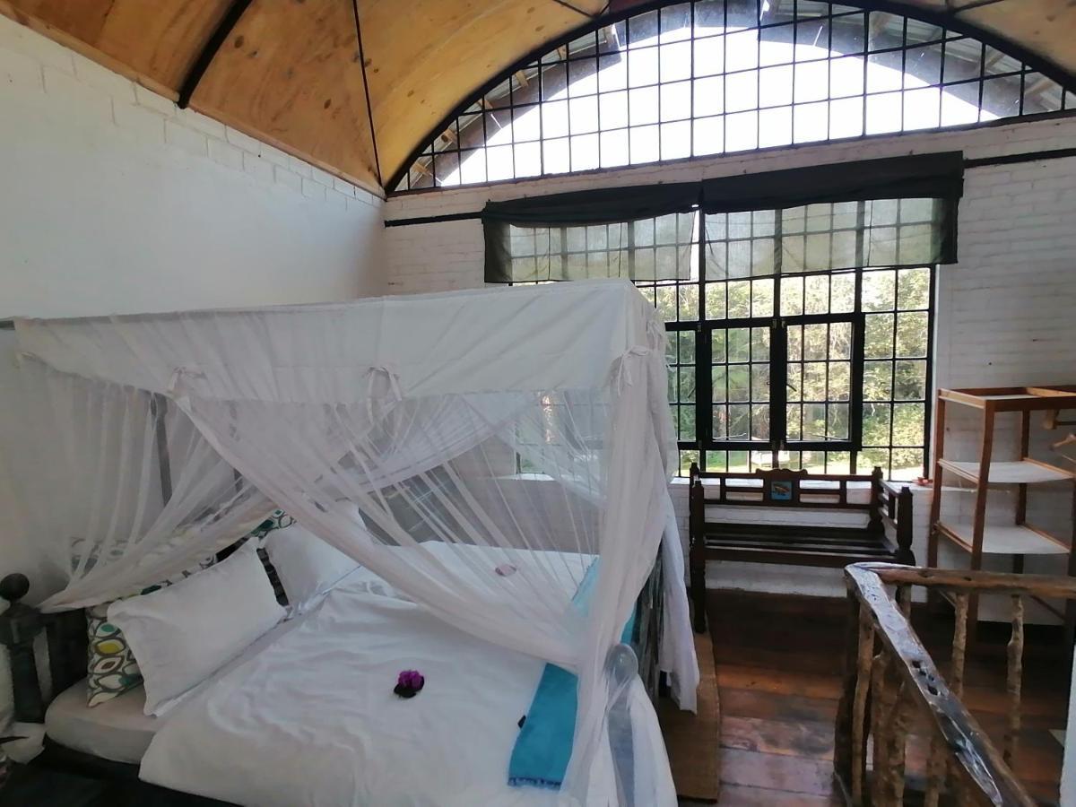 Meru House Lekisilai Arusha Exteriér fotografie