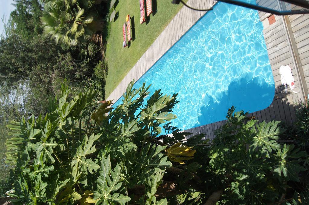 Meru House Lekisilai Arusha Exteriér fotografie